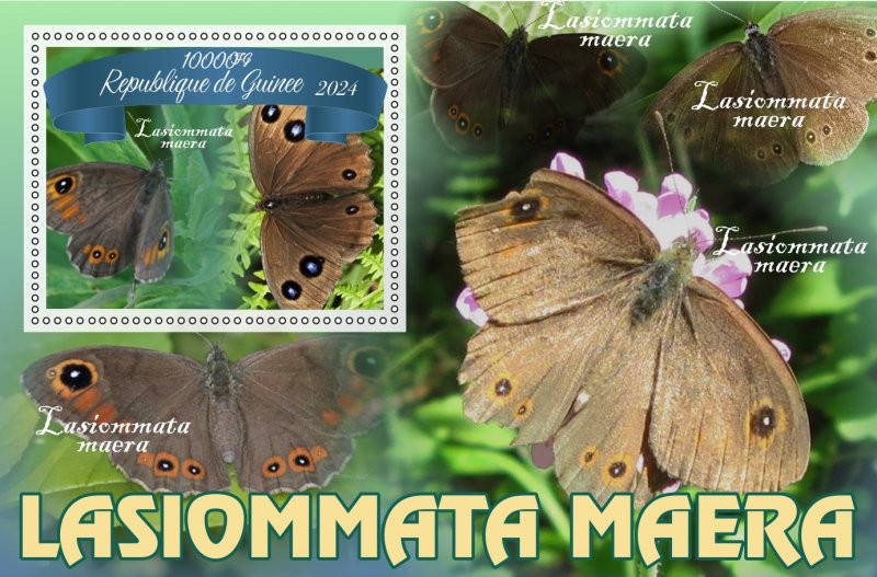 Stamps.Fauna, Butterflies  2024 year 8 sheets perforated