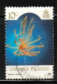 Marine Life, Nemaster Rubiginosa, Cayman Islds SC#563 used