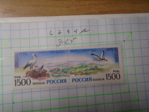 Russia  #  6294a   MNH  Birds
