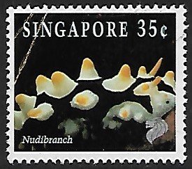 Singapore # 678 - Nudibranch - used  -{KlBl}