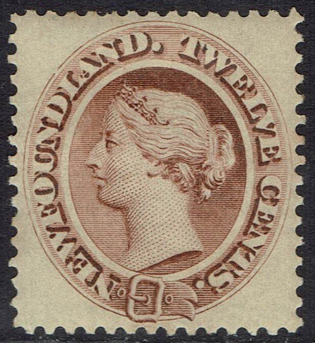 NEWFOUNDLAND 1894 QV 12C DEEP BROWN