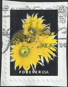 # 5352 Used Cactus Flowers