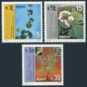 Nepal 699-701,MNH. Herbs 2001.Water pennywort,Rockfoil,Himalayan yew.