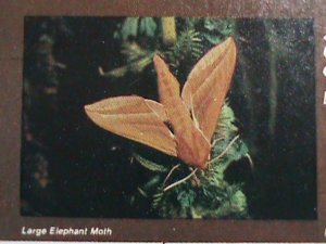 ​DHUFAR - LARGE ELEPHANT MOTH-IMPERF :MNH S/S SHEET-VERY FINE