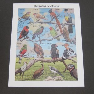 Ghana 1991 Sc 1343-5 Imperf. Bird set MNH