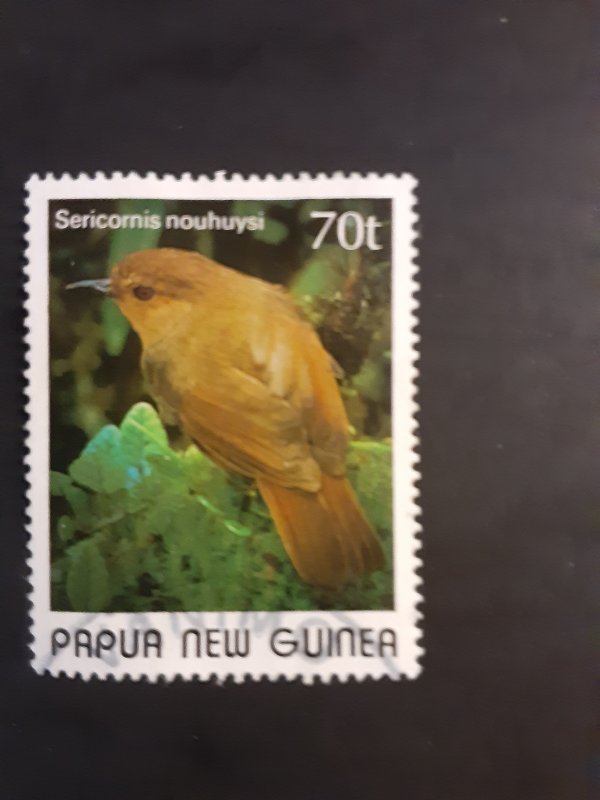 *Papua New Guinea #719                  Used