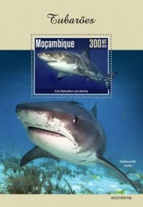 Mozambique - 2019 Sharks on Stamps - Stamp Souvenir Sheet - MOZ190510b