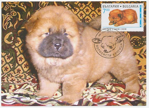 Maximum card Bulgaria 1997 Dog