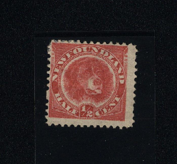 Newfoundland #56 Mint   1897-98 PD