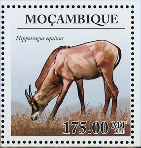 Antelope Stamp Hippotragus Equinus Wild Animal Souvenir Sheet MNH #3662 / Bl.316