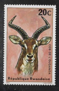 RWANDA Scott 614 Unused wildlife stamp