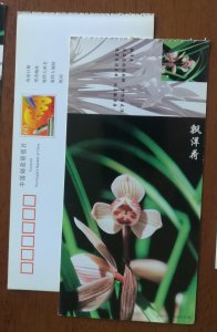 Piaoyanghe standard lotus petal orchid,CN01 baoshan famous orchid varieties PSC