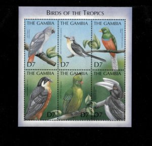 Gambia 2001 - Birds of the Tropics - Sheet of 6 Stamps - Scott #2347 - MNH