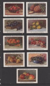 Germany -  Michel Süss Tropical Fruits Wholesale Advertising Stamps Set of 9- MH