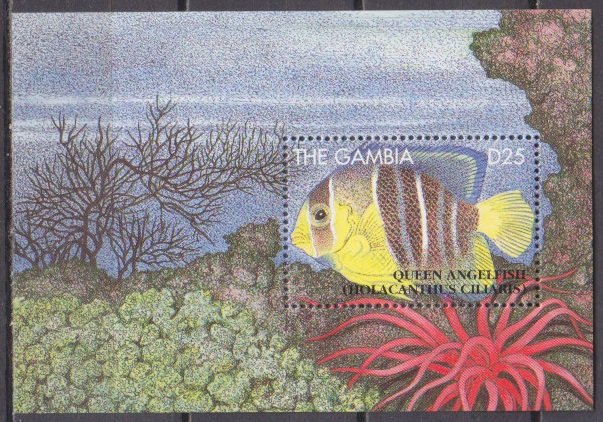 1995 Gambia 2083/B252 Sea fauna 11,00 €​​​​​​​