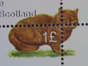 EASDALE-SCOTLAND STAMP -COLORFUL WORLD LOVELY CATS LARGE MNH FULL SHEET  VF