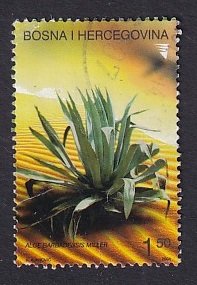 Bosnia and Herzegovina ( Bosniak admin)  #471a used  2004  succulents 1.50m