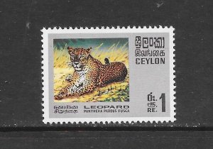 CEYLON #442 LEOPARD MNH