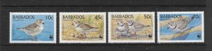 BIRDS - BARBADOS #963-6  PIPING PLOVERS  WWF  MNH