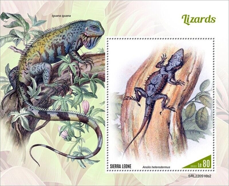 Sierra Leone - 2022 High-Andean Anole Lizard - Stamp Souvenir Sheet SRL220516b2