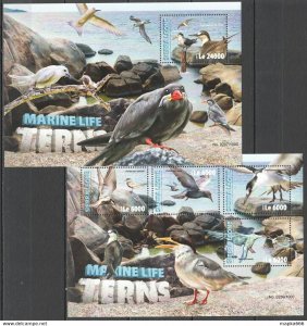 2016 Sierra Leone Birds Fauna Marine Life Birds Terns 1+1 ** Stampsst310