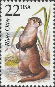 # 2314 USED RIVER OTTER