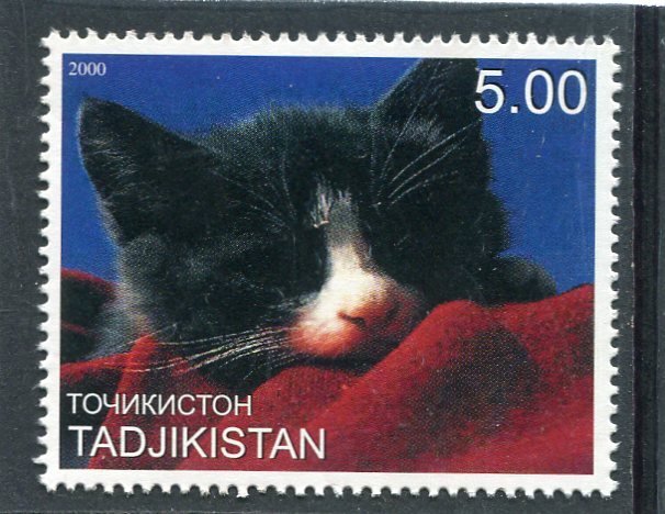 Tajikistan 2000 DOMESTIC CAT 1 value Perforated Mint (NH)