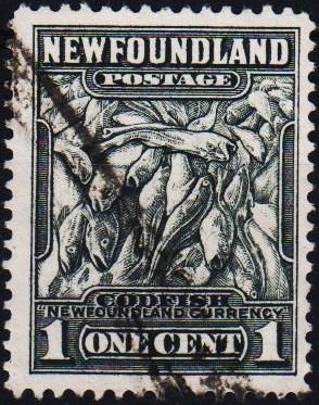 Newfoundland. 1932 1c  S.G.276 Fine Used