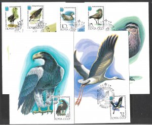 RUSSIA USSR 1982 BIRDS Set Sc 5050-5055 Each on MAXI CARDS FDCs