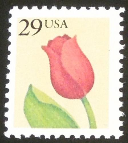 1991 29c Flower Scott 2524 Mint NH