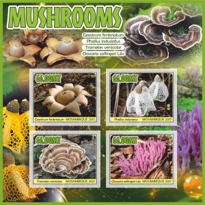 Stamps Plants Mushrooms 1+1 sheets perforated MNH** 2017 year