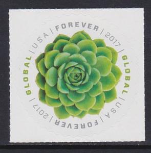 US 5198 Succulent MNH