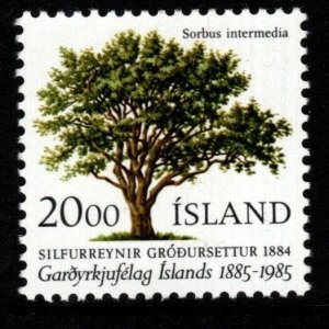 ICELAND SG663 1985 HORTICULTURAL SOCIETY MNH