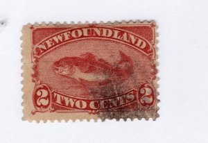 Newfoundland     48      used