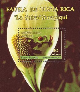 Costa Rica - 1986 Red Eye Tree Frog Agalychnis Callidras - Souvenir Sheet #385