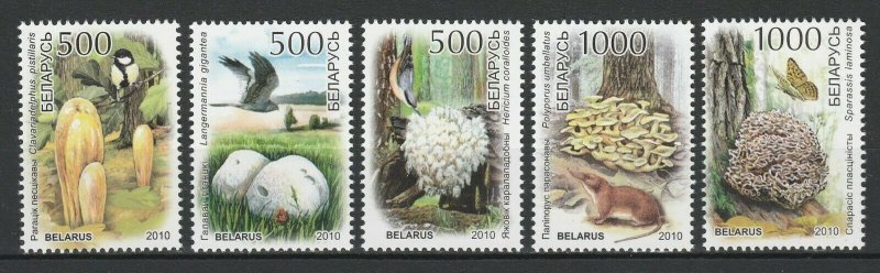 Belarus 2010 Mushrooms & Birds 5 MNH stamps