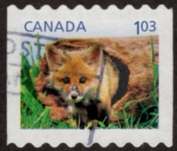 2427 Baby Wildlife Definitives