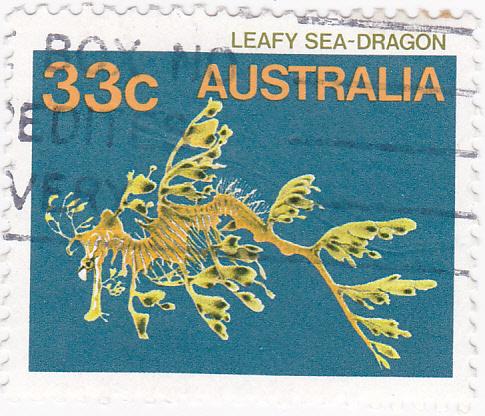 Australia 1984- Marine Life-Leafy Seadragon 33c used SG 926