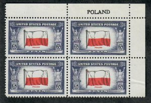 909 Poland Overrun Countries MNH Name Block