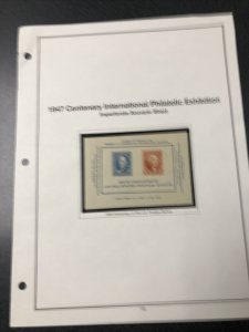 US Collection On Paper Mint & Used , Hinged & Never Hinged Catalogue Value $380+ 