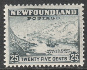 Canada Newfoundland Scott 265 - SG288, 1941 Pictorial 25c MH*