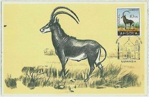 32117 - Angola - POSTAL HISTORY - MAXIMUM CARD  Wild Animals SAFARI fauna 1958