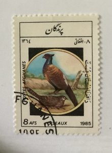 Afghanistan 1985  Scott 1160 CTO - 8a, bird, Phasianus colchicus