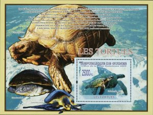 Turtles Stamp Chelonia Mydas Pelomedusa Subrufa S/S MNH #6415 / Bl.1663