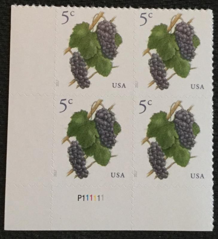 US #5177 MNH Plate Block of 4 Grapes (.05)
