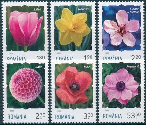 Romania Flowers Stamps 2020 MNH Definitives Daffodils Tulips Dahlias 6v Set