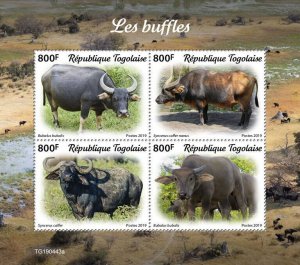 Togo 2019 MNH Wild Animals Stamps Buffalos Buffaloes Fauna 4v M/S