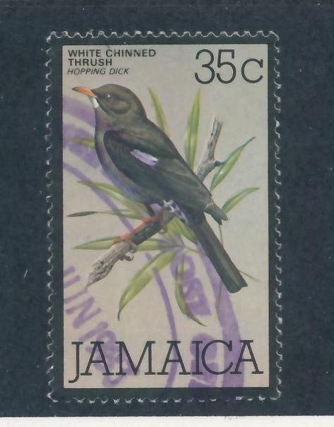 Jamaica 1979/80 - Scott 476 used - 35c, Chite Chinned Thrush