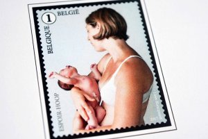 COLOR PRINTED BELGIUM 2011-2020 STAMP ALBUM PAGES (145 illustrated pages)