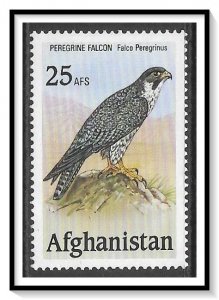 Afghanistan Peregrine Falcon Birds Of Prey NG